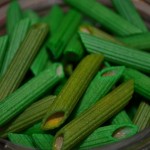 green pasta