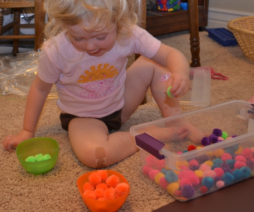 Pompon Sensory/Discovery Activity