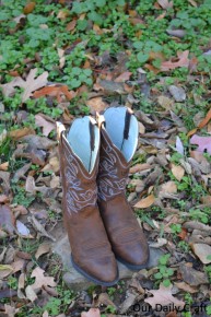 ariat boots