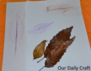 leaf rubbing stationery